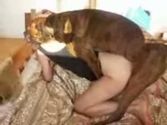 A kinky pet owner having oral sex with their dog